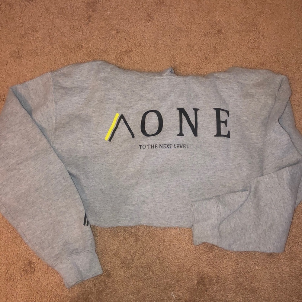 Grey cropped sweatshirt